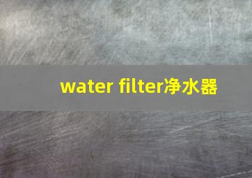 water filter净水器